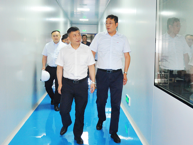 Zhou Daliang, deputy general manager of electrical equipment, went to the company for research.